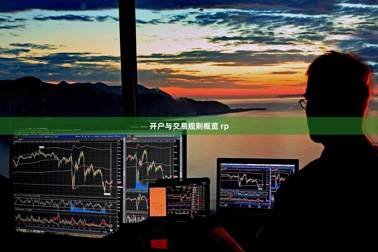开户与交易规则概览 rp