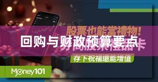 回购与财政预算要点